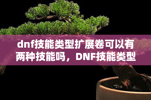 dnf技能类型扩展卷可以有两种技能吗，DNF技能类型扩展卷，解锁全新战斗体验