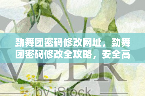 劲舞团密码修改网址，劲舞团密码修改全攻略，安全高效，轻松掌握