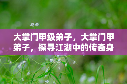 大掌门甲级弟子，大掌门甲弟子，探寻江湖中的传奇身影