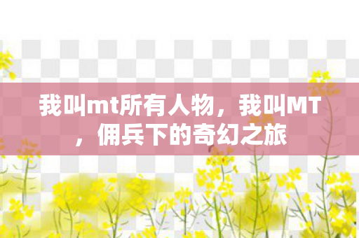 我叫mt所有人物，我叫MT，佣兵下的奇幻之旅