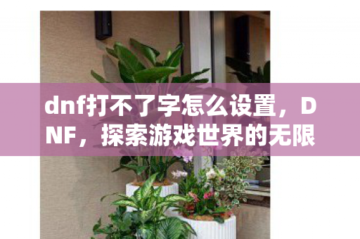 dnf打不了字怎么设置，DNF，探索游戏世界的无限可能