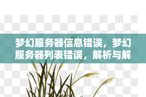 梦幻服务器信息错误，梦幻服务器列表错误，解析与解决之道
