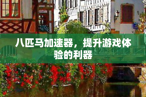 八匹马加速器，提升游戏体验的利器
