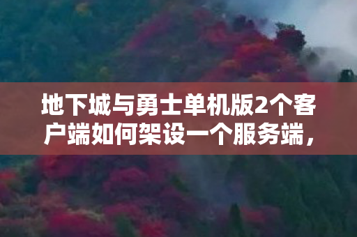 地下城与勇士单机版2个客户端如何架设一个服务端，单机版2，重温经典，地下城与勇士的单机之旅
