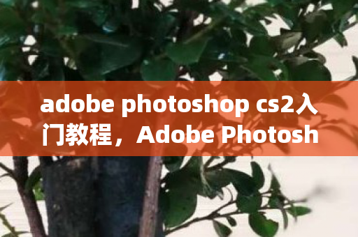 adobe photoshop cs2入门教程，Adobe Photoshop CS2教程，经典工具的基础操作与进阶技巧