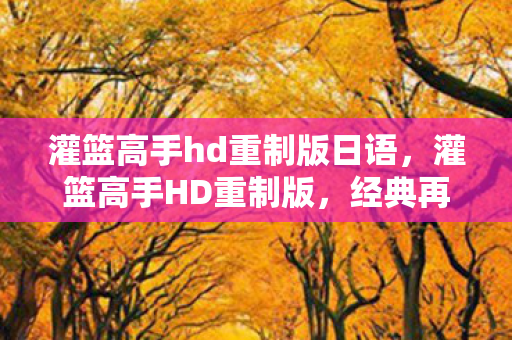 灌篮高手hd重制版日语，灌篮高手HD重制版，经典再现，情怀与技术的完美融合