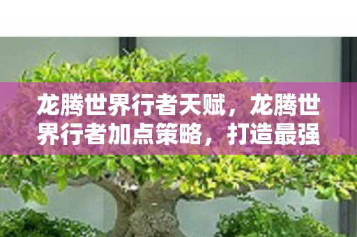 龙腾世界行者天赋，龙腾世界行者加点策略，打造最强冒险者
