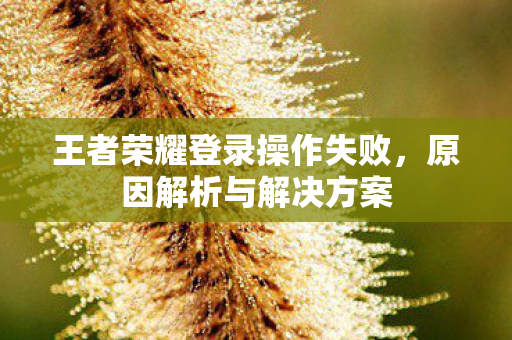 王者荣耀登录操作失败，原因解析与解决方案