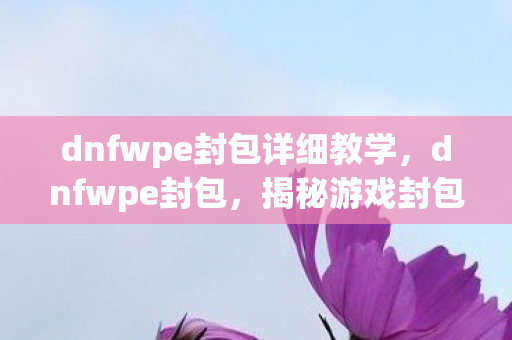 dnfwpe封包详细教学，dnfwpe封包，揭秘游戏封包技术的奥秘