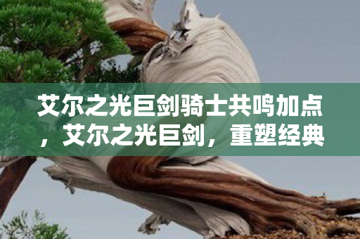 艾尔之光巨剑骑士共鸣加点，艾尔之光巨剑，重塑经典，重塑传奇