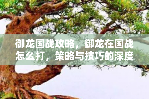 御龙国战攻略，御龙在国战怎么打，策略与技巧的深度剖析