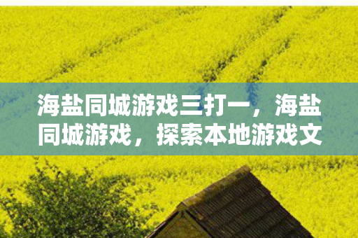 海盐同城游戏三打一，海盐同城游戏，探索本地游戏文化的独特魅力