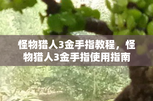 怪物猎人3金手指教程，怪物猎人3金手指使用指南