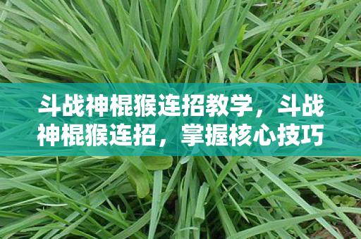 斗战神棍猴连招教学，斗战神棍猴连招，掌握核心技巧，打造极致输出