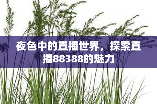 夜色中的直播世界，探索直播88388的魅力