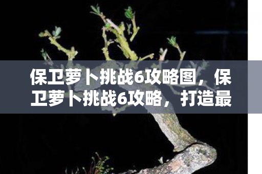 保卫萝卜挑战6攻略图，保卫萝卜挑战6攻略，打造最强防御阵容