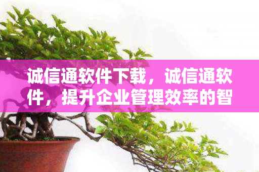 诚信通软件下载，诚信通软件，提升企业管理效率的智能工具