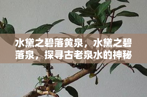 水黛之碧落黄泉，水黛之碧落泉，探寻古老泉水的神秘之旅