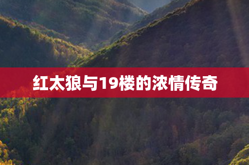 红太狼与19楼的浓情传奇
