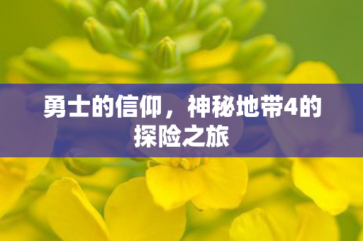勇士的信仰，神秘地带4的探险之旅