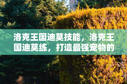 洛克王国迪莫技能，洛克王国迪莫练，打造最强宠物的全面指南