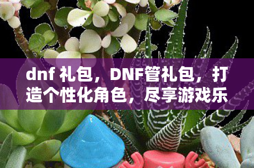 dnf 礼包，DNF管礼包，打造个性化角色，尽享游戏乐趣
