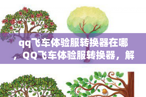 qq飞车体验服转换器在哪，QQ飞车体验服转换器，解锁全新游戏体验