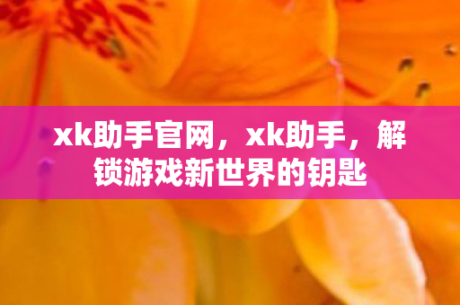 xk助手官网，xk助手，解锁游戏新世界的钥匙