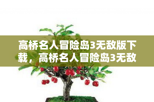 高桥名人冒险岛3无敌版下载，高桥名人冒险岛3无敌版，重温经典，畅享无限
