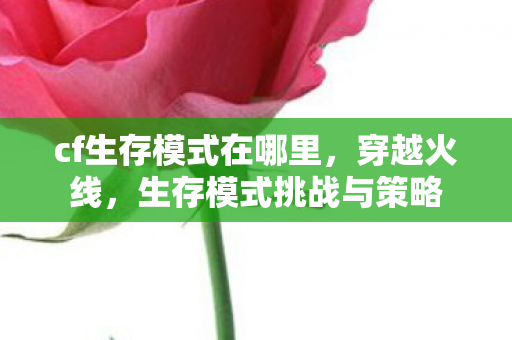 cf生存模式在哪里，穿越火线，生存模式挑战与策略