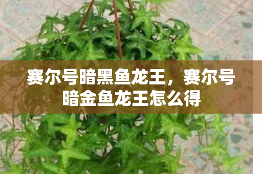 赛尔号暗黑鱼龙王，赛尔号暗金鱼龙王怎么得