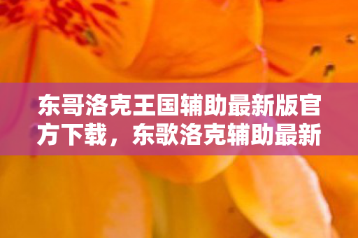 东哥洛克王国辅助最新版官方下载，东歌洛克辅助最新版，提升游戏体验的得力助手