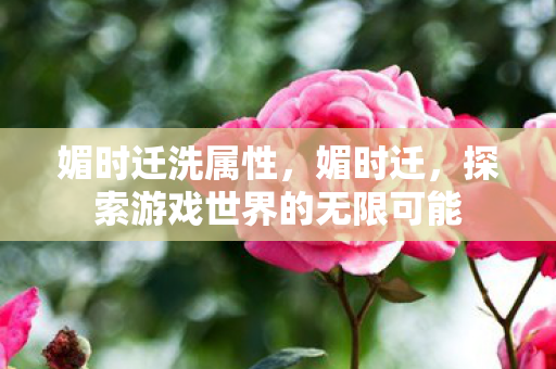媚时迁洗属性，媚时迁，探索游戏世界的无限可能