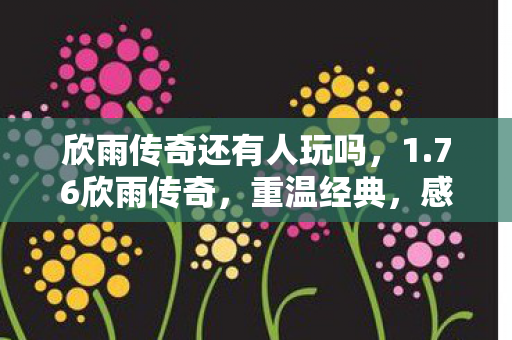 欣雨传奇还有人玩吗，1.76欣雨传奇，重温经典，感受传奇的魅力