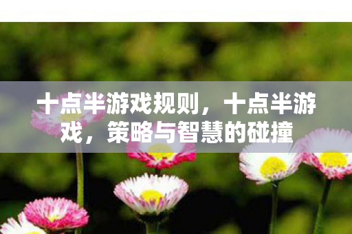 十点半游戏规则，十点半游戏，策略与智慧的碰撞