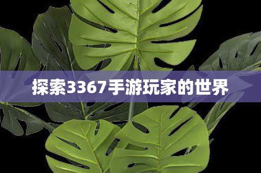 探索3367手游玩家的世界