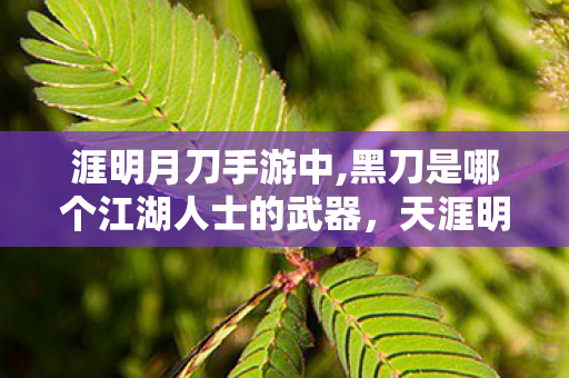 涯明月刀手游中,黑刀是哪个江湖人士的武器，天涯明月刀37，探索江湖的无限可能