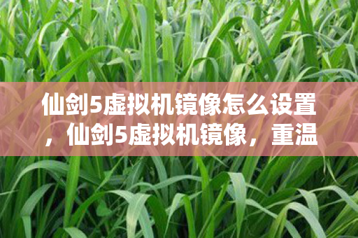 仙剑5虚拟机镜像怎么设置，仙剑5虚拟机镜像，重温经典，畅游仙侠世界
