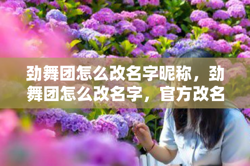 劲舞团怎么改名字昵称，劲舞团怎么改名字，官方改名指南与注意事项