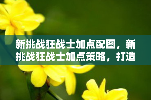 新挑战狂战士加点配图，新挑战狂战士加点策略，打造最强战斗力的关键