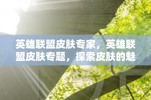 英雄联盟皮肤专家，英雄联盟皮肤专题，探索皮肤的魅力与背后的故事