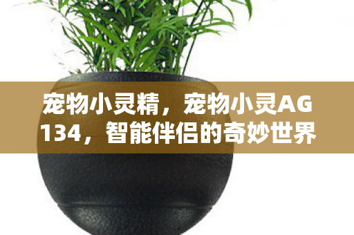 宠物小灵精，宠物小灵AG134，智能伴侣的奇妙世界