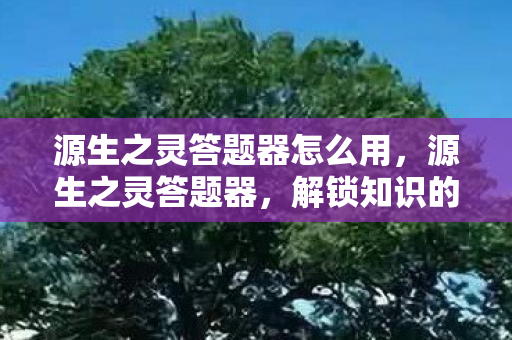 源生之灵答题器怎么用，源生之灵答题器，解锁知识的新钥匙