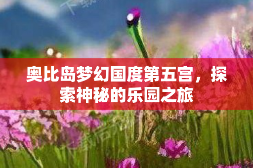 奥比岛梦幻国度第五宫，探索神秘的乐园之旅