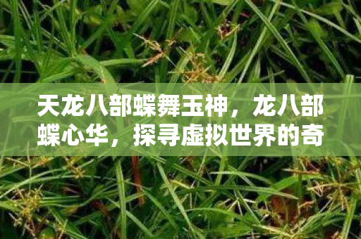 天龙八部蝶舞玉神，龙八部蝶心华，探寻虚拟世界的奇幻之旅