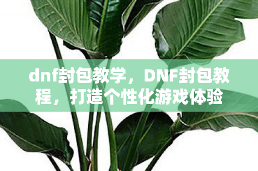 dnf封包教学，DNF封包教程，打造个性化游戏体验