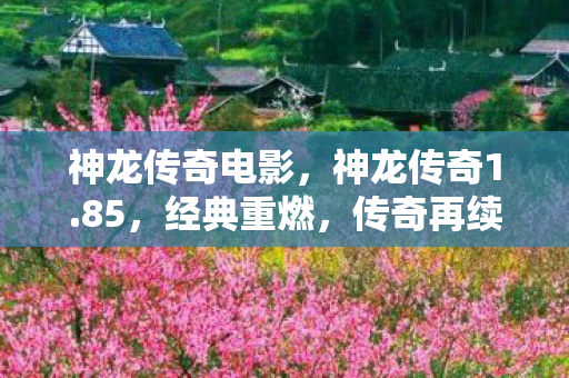 神龙传奇电影，神龙传奇1.85，经典重燃，传奇再续