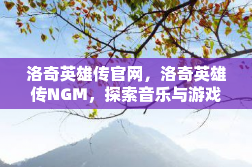 洛奇英雄传官网，洛奇英雄传NGM，探索音乐与游戏的完美融合
