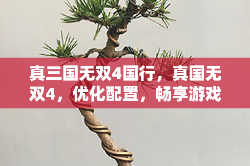 真三国无双4国行，真国无双4，优化配置，畅享游戏盛宴