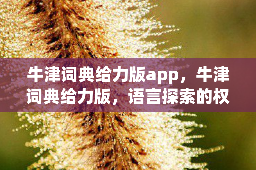 牛津词典给力版app，牛津词典给力版，语言探索的权威指南